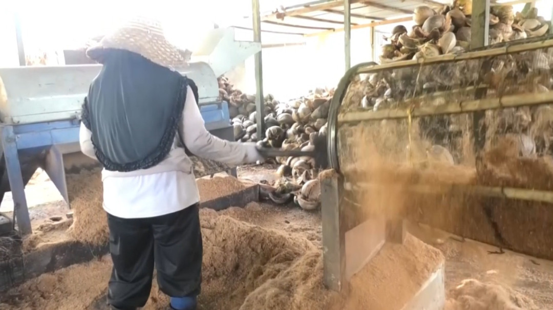 The Creativity of Kriya Inovasi Mandara Cooperative in Transforming Coconut Husk Waste