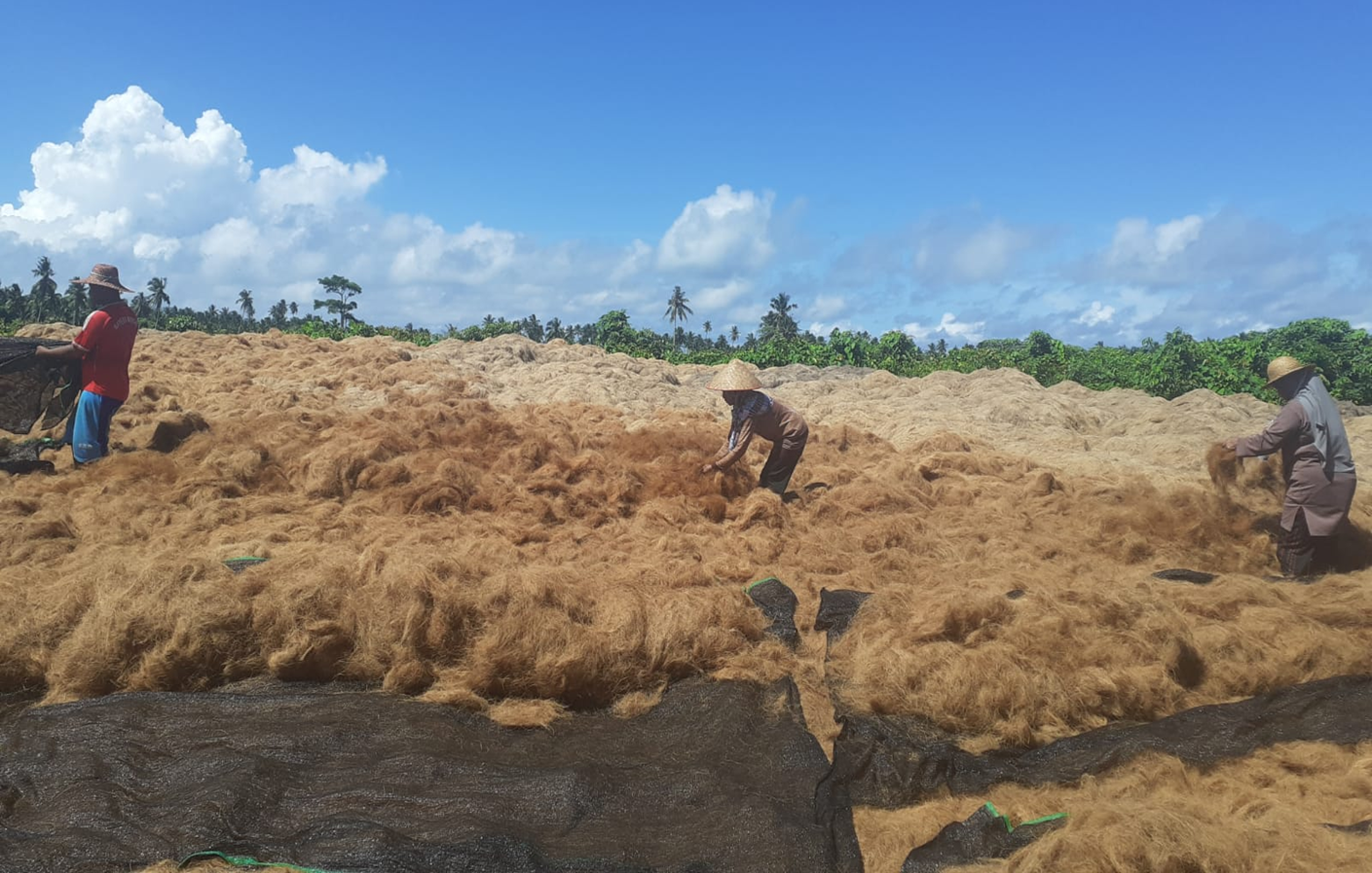 Penjemuran Cocofiber